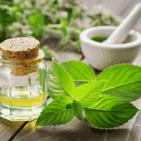 Menta benefici