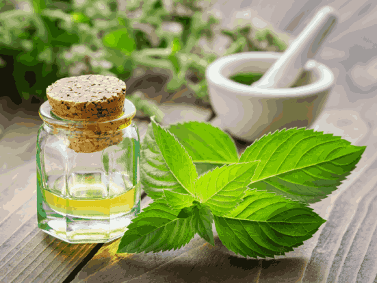 Menta benefici