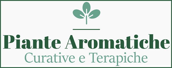 Le Piante Aromatiche