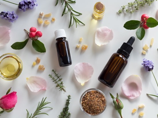 piante per attenzione e emozioni