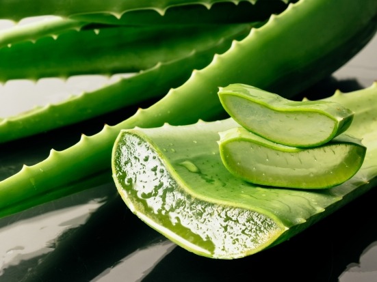 Aloe vera