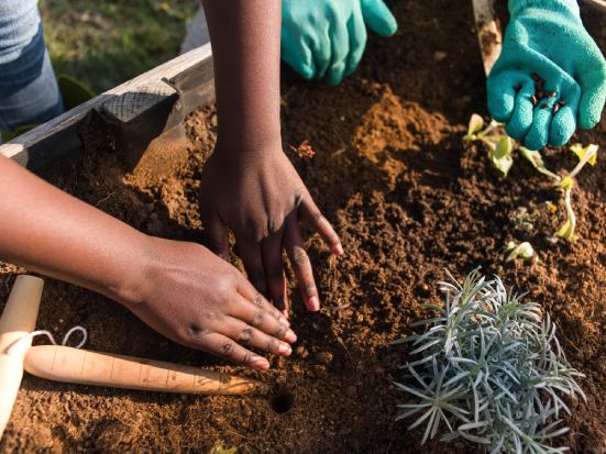 giardinaggio contro l'ansia