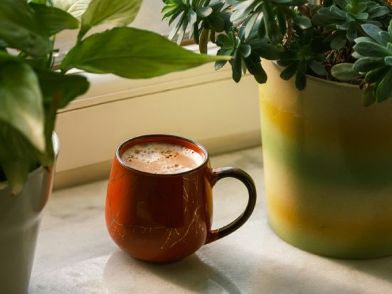 piante energia caff&egrave;