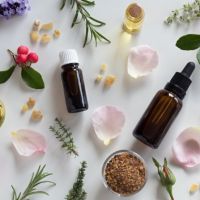 piante per attenzione e emozioni