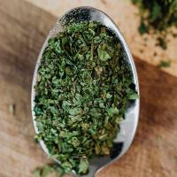 guida per coltivare origano