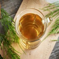 migliori piante con effetti drenanti