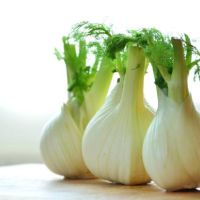finocchio e digestione