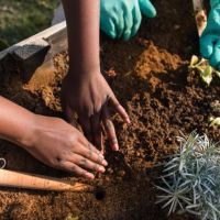 giardinaggio contro l'ansia