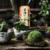 Aromaterapia e Ayurveda come nuovi metodi di medicina olistica